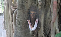 Featured image of post Temple